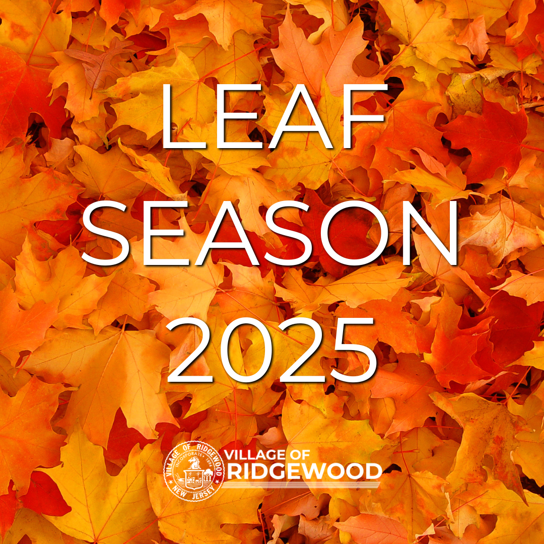 Leaf Season 2025